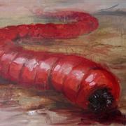 Mongolian Death Worm