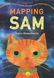 Mapping Sam (Joyce Hesselberth)