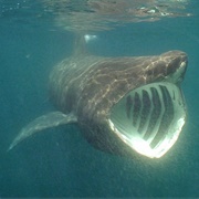 Isle of Man, England