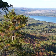 Aroostook State Park, Maine