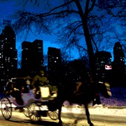 Central Park Horse &amp; Carriage