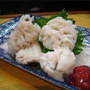 Daggertooth Pike Conger