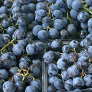 Concord Grapes