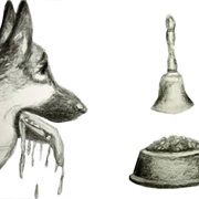 Pavlov's Dog Experiments (1902)