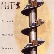 Giant Normal Dwarf - The Nits