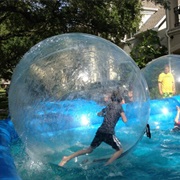Play in an Human Hamster Ball