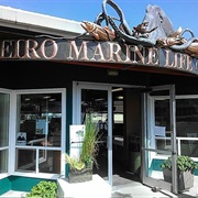 Arthur D. Feiro Marine Life Center (Port Angeles, Washington)