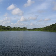 Lake Manatee State Park, Florida