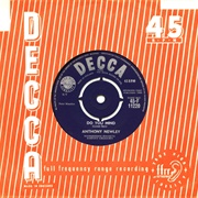 Do You Mind - Anthony Newley