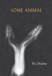 Some Animal (Ely Shipley)