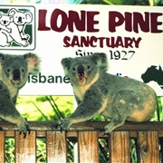 Lone Pine Koala Sanctuary, Australia