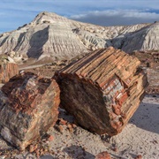 Petrified Forest National Park, Arizona