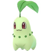 Chikorita