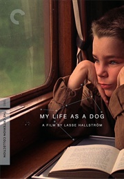 My Life as a Dog (1985)