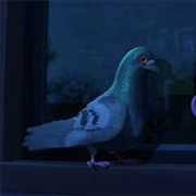 Feathers (Toy Story)