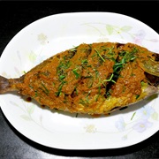 Blue-Spotted Spinefoot