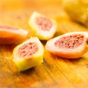 Prickly Pear (Opuntia)