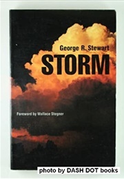 Storm (Stewart)