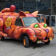Cat Car