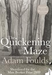 Adam Foulds: The Quickening Maze