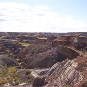 Dinosaur Provincial Park, Canada