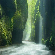 Oneonta Gorge, USA