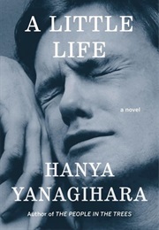 A Little Life (Hanya Yanagihara)