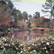 Alfred B. MacLay Gardens State Park, Florida
