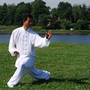 Tai Chi Chaun (Tajiquan)