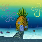 85% of Plant Life Is in the Ocean