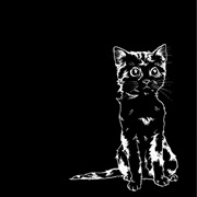 Only God Can Judge Me & More - AJJ