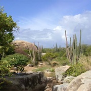 Arikok National Wildlife Park, Aruba