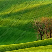 Rolling Hills, Czech Republic