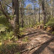 Barakee National Park (NSW)