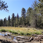 Mount San Jacinto State Park