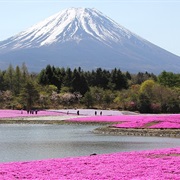 Yamanashi, Japan
