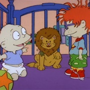 Rebel Without a Teddy Bear