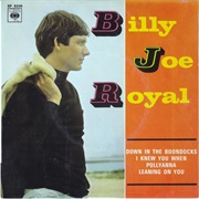 Down in the Boondocks - Billy Joe Royal