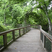 BREC's Bluebonnet Swamp Nature Center, Louisiana
