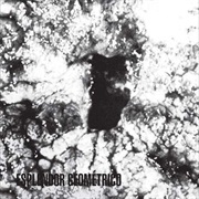 Esplendor Geométrico - El Acero Del Partido / Héroe Del Trabajo