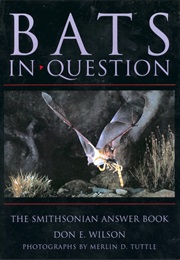 Bats in Question (Don E. Wilson)