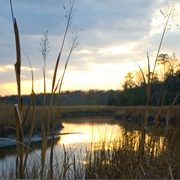 York River State Park, Virginia