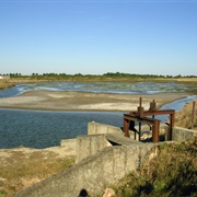 Réserve Naturelle Marais D'yves, La Rochelle, France
