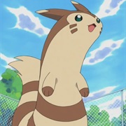 Furret