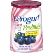 Blueberry Yogurt