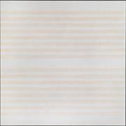 I Love the Whole World