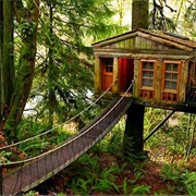 Climbing in Trees/Treehouses