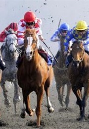 The Significant Seven (John McEvoy)