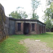 Box Hill Fort