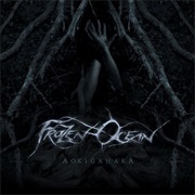 Frozen Ocean - Aokigahara